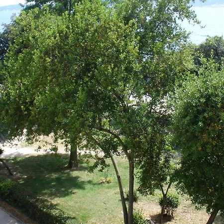Apartman Jelena - Spacious Sea View Apartment - Old Town Zadar *